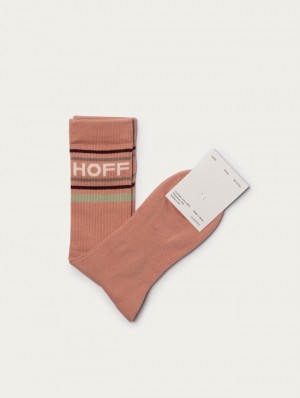 Hoff Hamptons Sokker Herre Rosa | 45821-SPDC