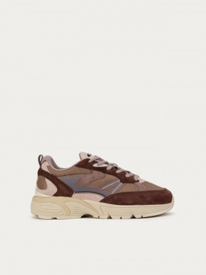 Hoff Iowa Joggesko Dame Brune | 71593-CHYV
