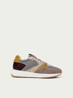 Hoff Surry Hills Joggesko Dame Multicolor | 10637-AQCN
